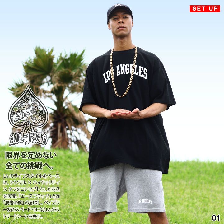 THE BIRTHDAY ツアーTシャツ チバユウスケ ザバースデイ The Birthday