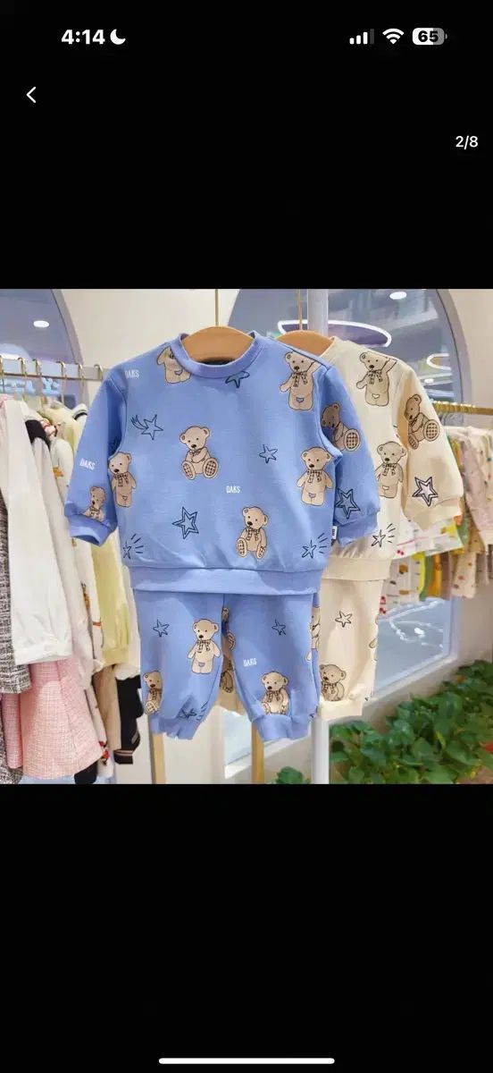 未使用 ダックスベイビー ベア シャンハヘット 120