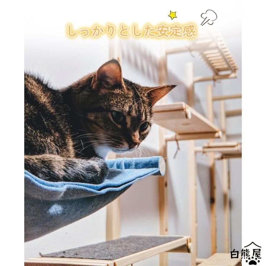 cm ロングサイズ