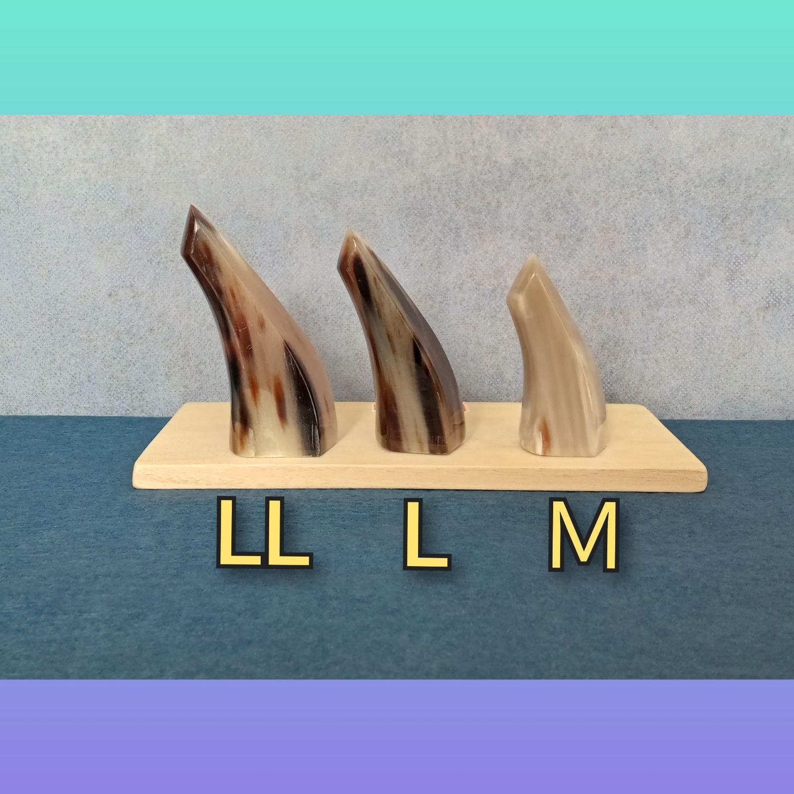 赤牛ツメ 五角型 Lサイズ