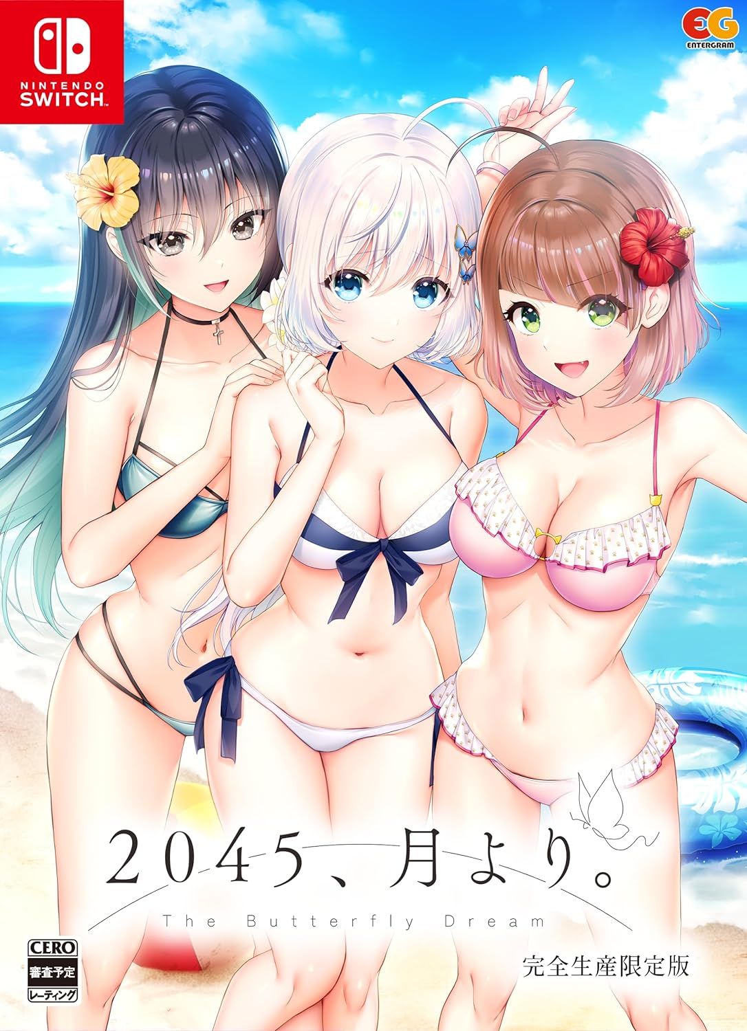 2045 月より 完全生産 版 Nintendo Switch 倉庫