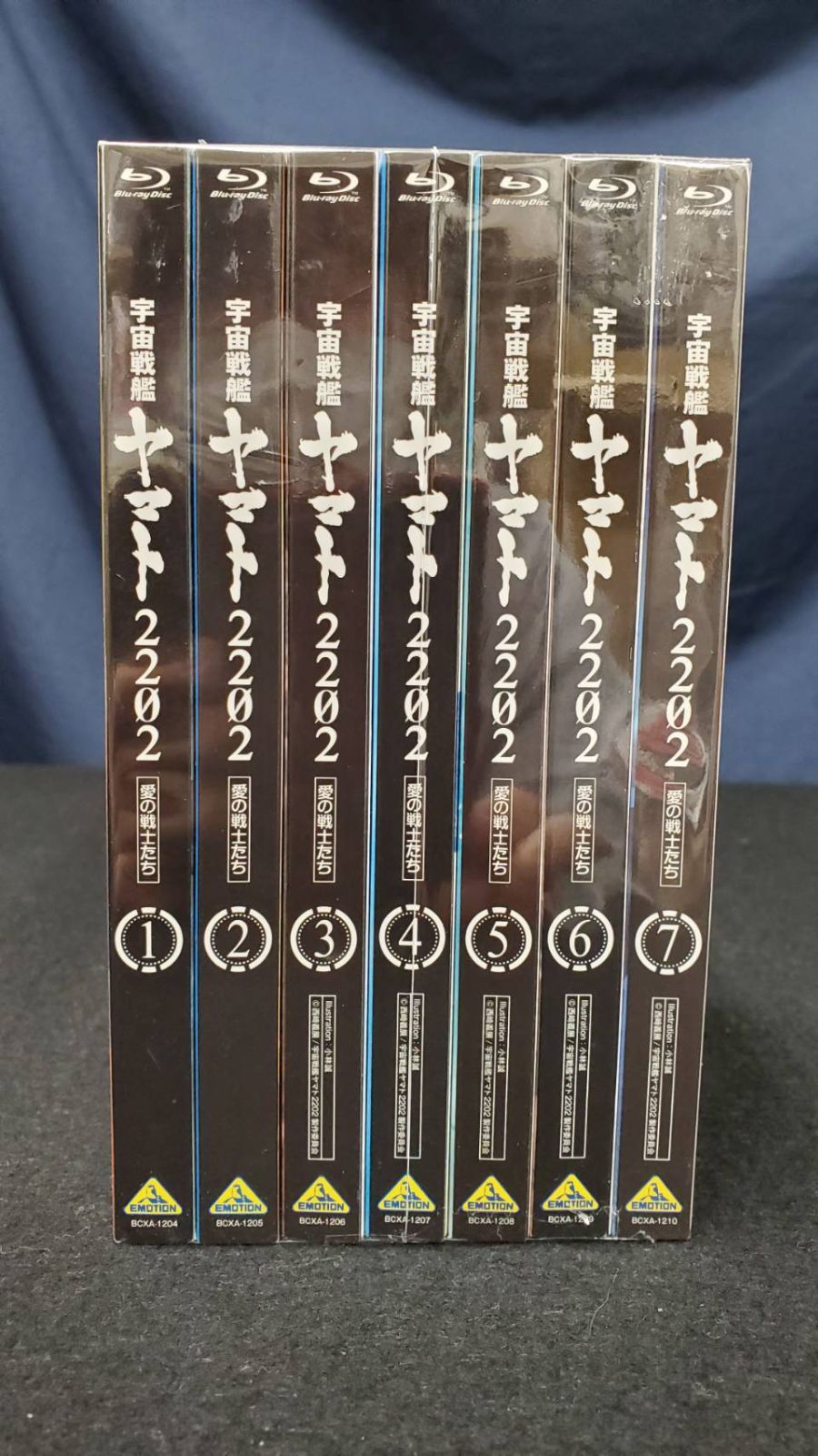 D≒SIRE 独白25周年 福袋 新品 kαin 藤田幸也 終末の情景