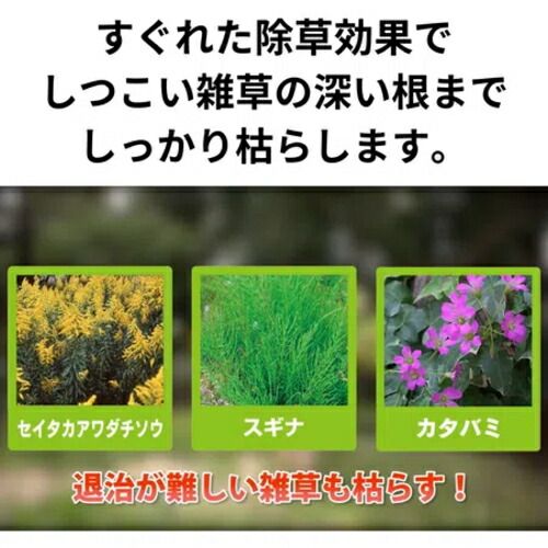 人気商品など多数勢揃い！ 住友化学園芸 草退治メガロングシャワー 4L 4個セット