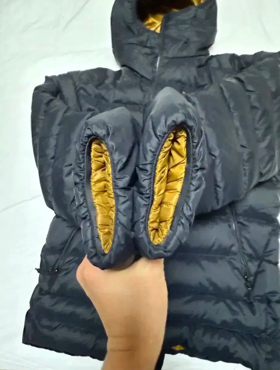 ARC TERYX アークテリクス トーリウム 24 k M