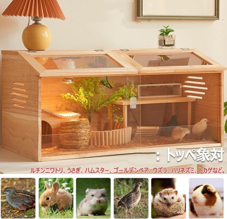 育雛•孵化•餌やり