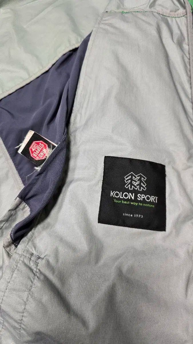 Kolon