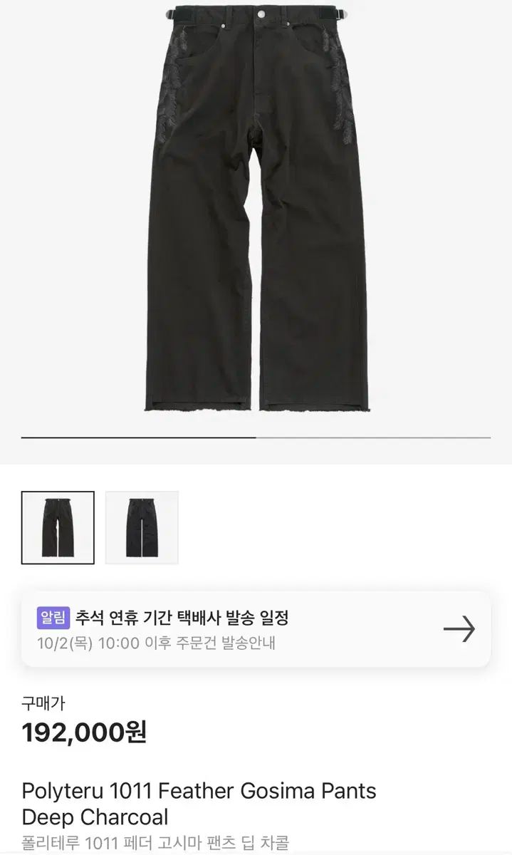 4 POLYTERU フェザー Gosima ディープチャコール