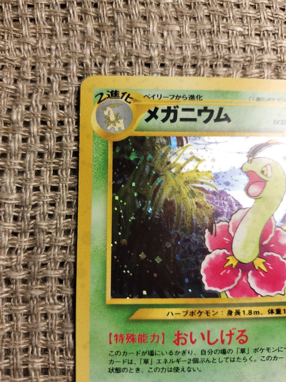 【超希少】ポケモンカード　メガニウム 旧裏 メガニウム_ポケモンカード_旧裏 - メルカリ