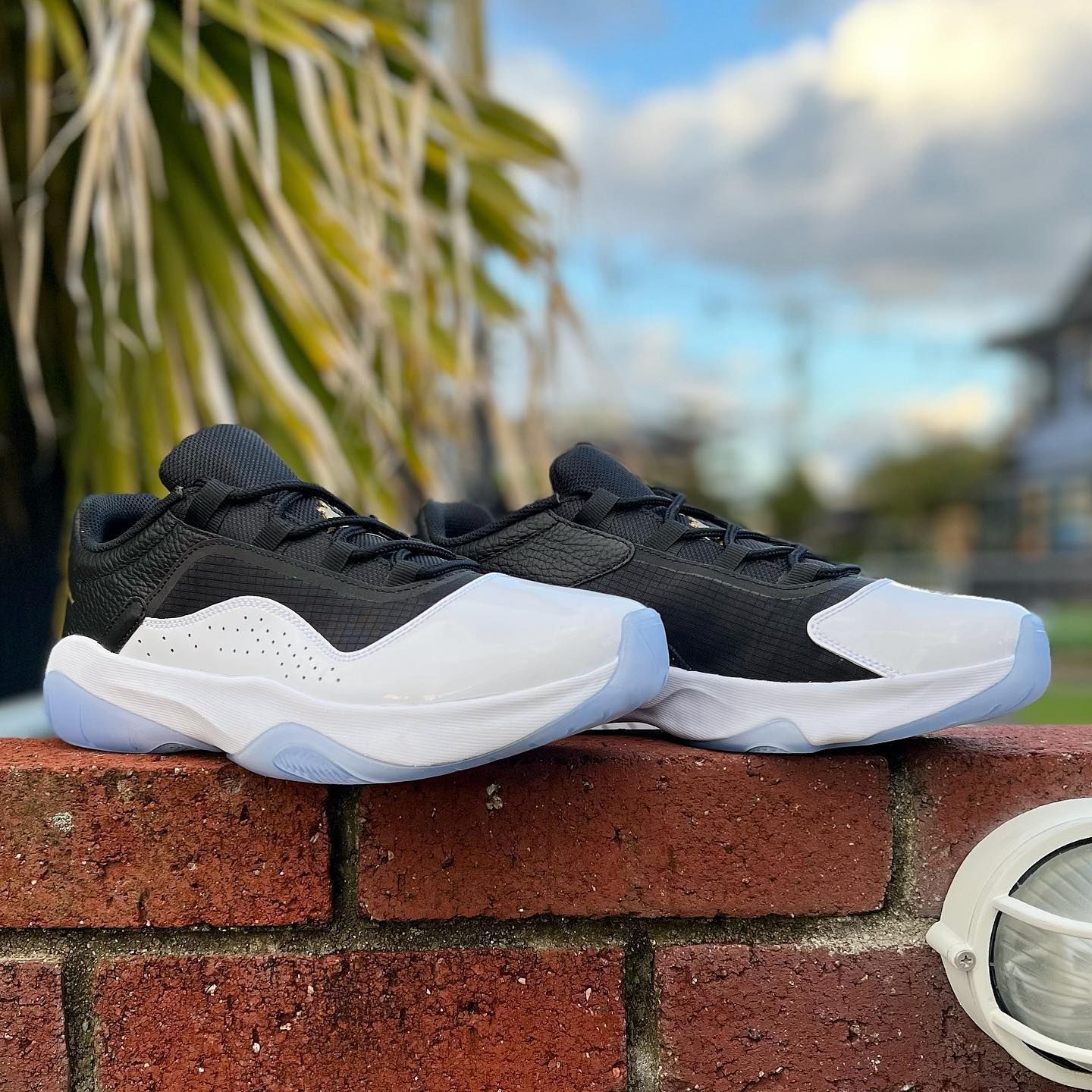 AIR JORDAN 11 CMFT LOW エア ジョーダン 11 コンフォート ローカット