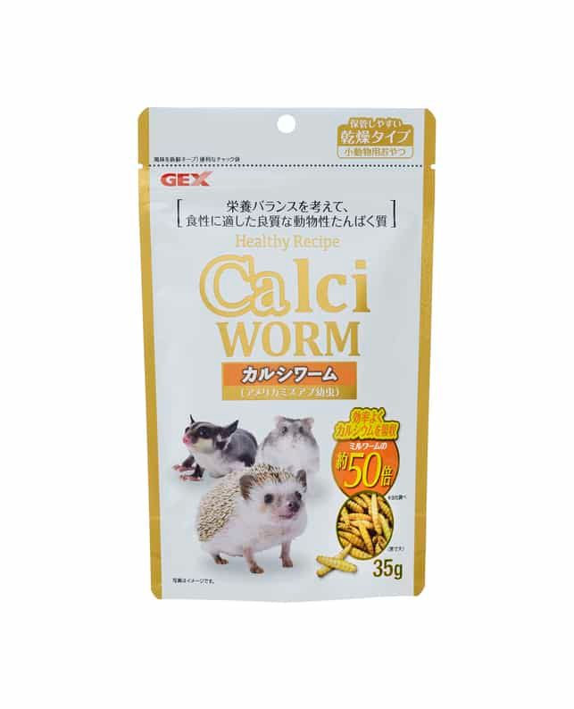 日本ビクター（Victor）インターネットカメラ VN-C3W 新品未使用 良い