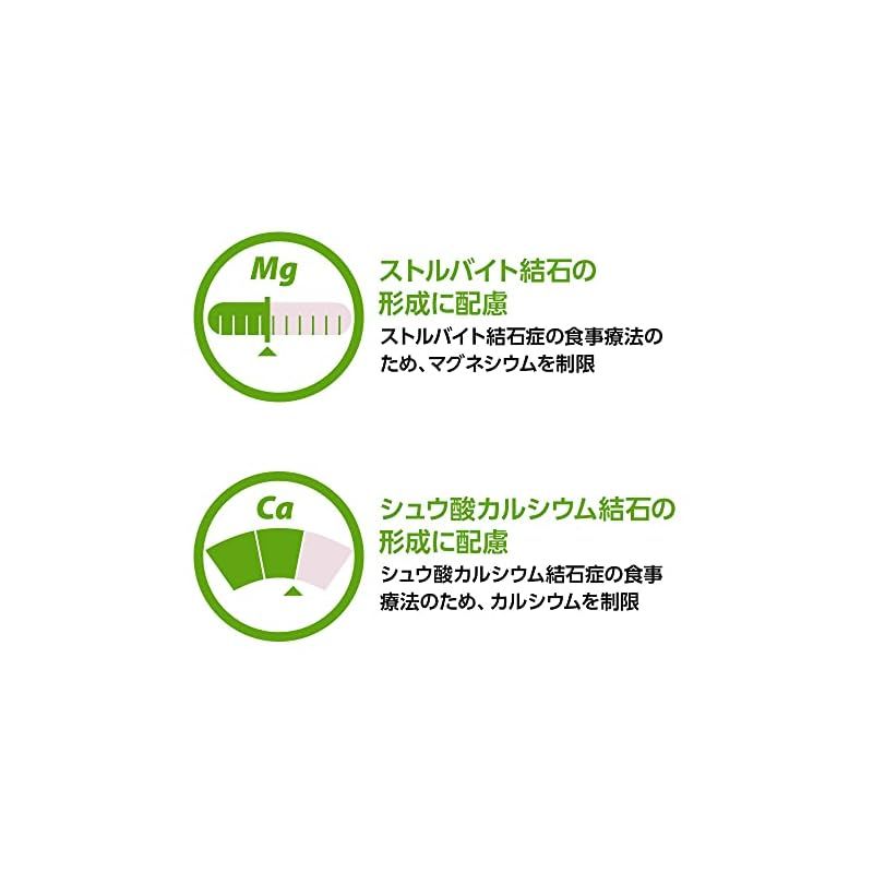 猫用