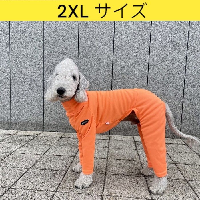 コトリページ イタグレ服 ハンドメイド コトリページ イタグレ服