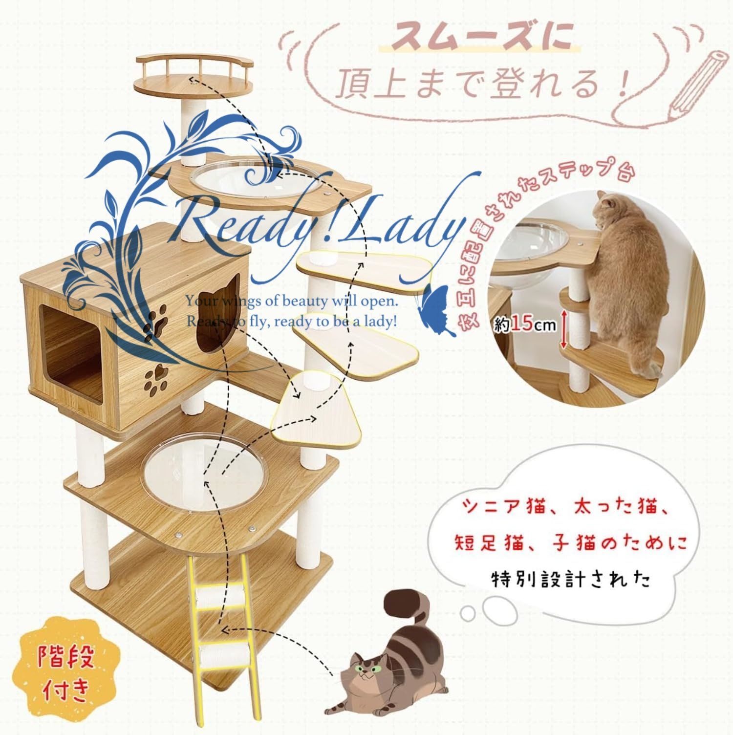 ハンモック宇宙船付き 多頭飼い