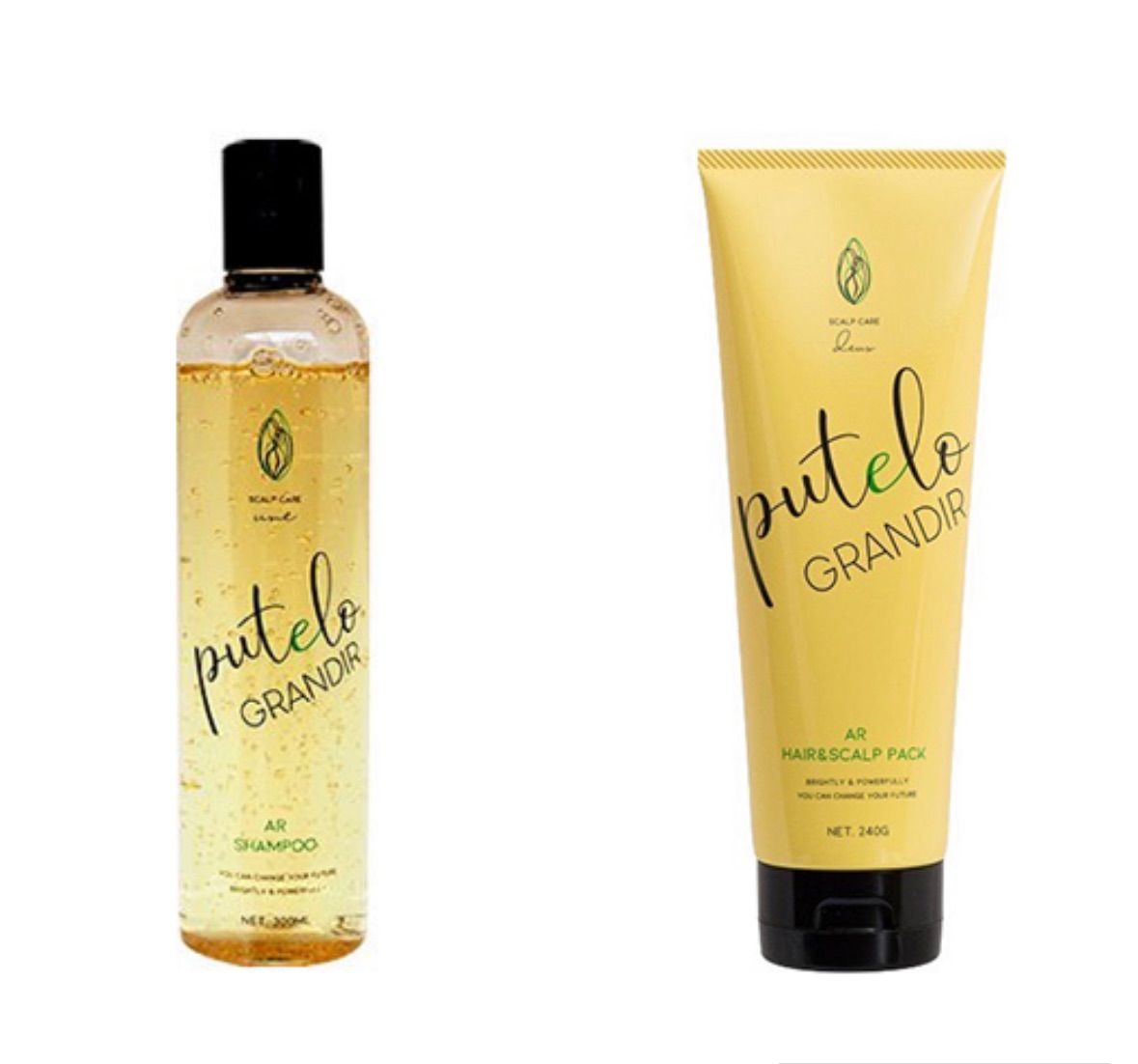 プテロ AR シャンプー ヘア＆スカルプパック グランディール 【正規販売店】
