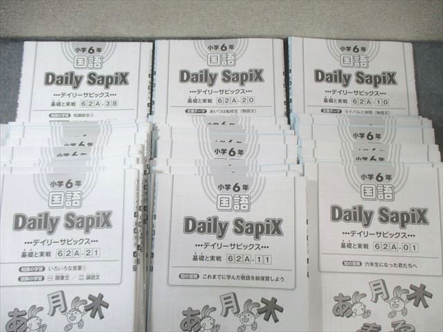 デイリーサピックス 　小６　SAPIX SAPIX 小6 サピックス デイリーA/B/サマー/夏期デイリー