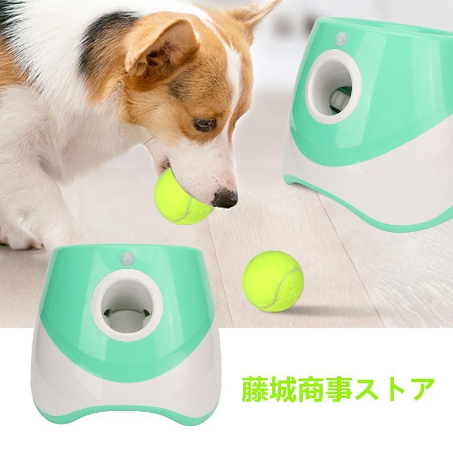 自動