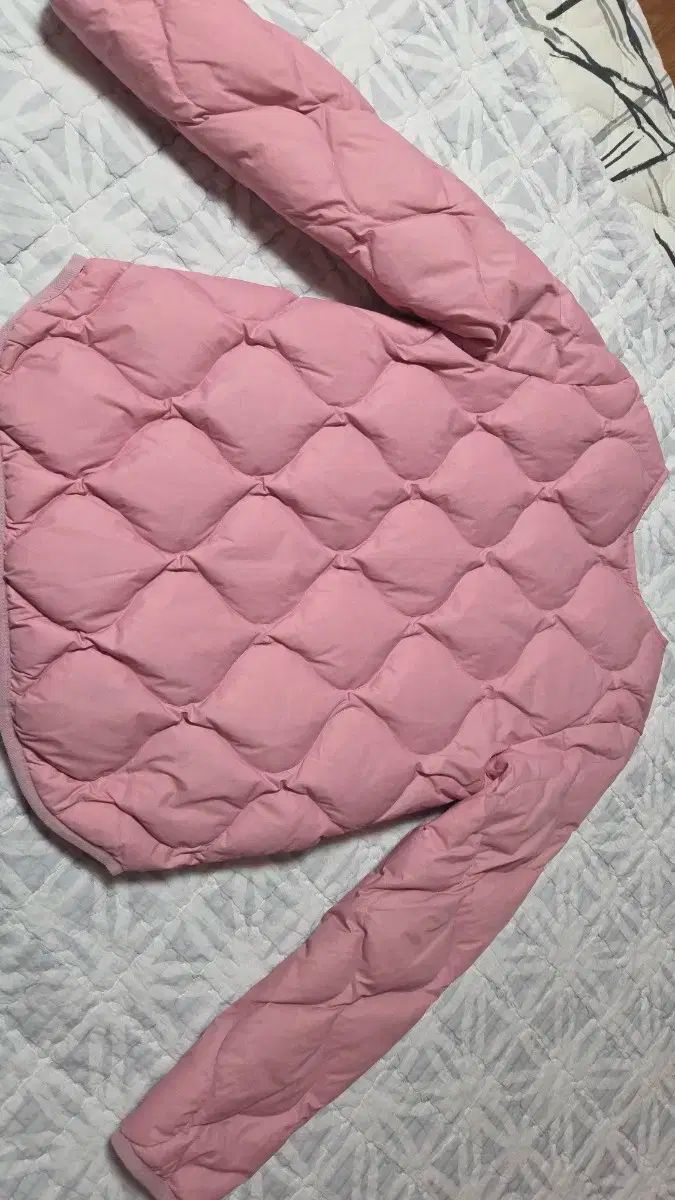 ブルードッグ 軽量ダウン ― サイズ 155