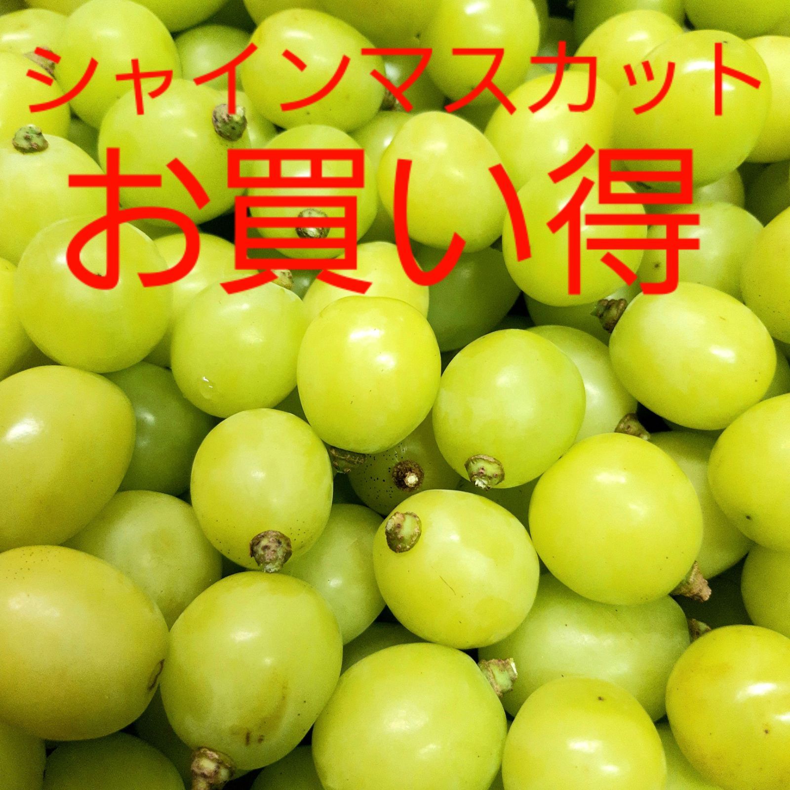 シャインマスカット大粒多め徳用5キロ入りの、粒抜きになります。-