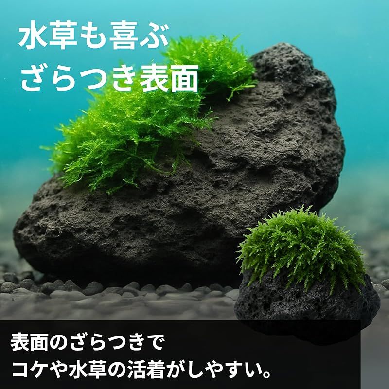 溶岩石 黒 水槽 石 アクアリウム アクアテラリウム YOTSUBA＋ 苔