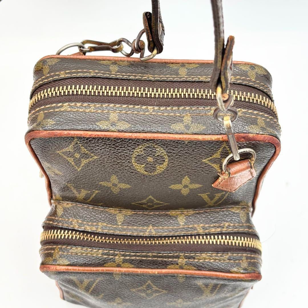 Louis Vuitton ルイ•ヴィトン ミニアマゾン モノグラム 総柄