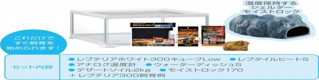 GEX EXOTERRA レプテリア レオパ飼育キットM 爬虫類用ガラスケージ 6点スターターセット ヒーター付 W31.6×D31.6×H19.2cm STEELWINDOWSANDDOORS_COM