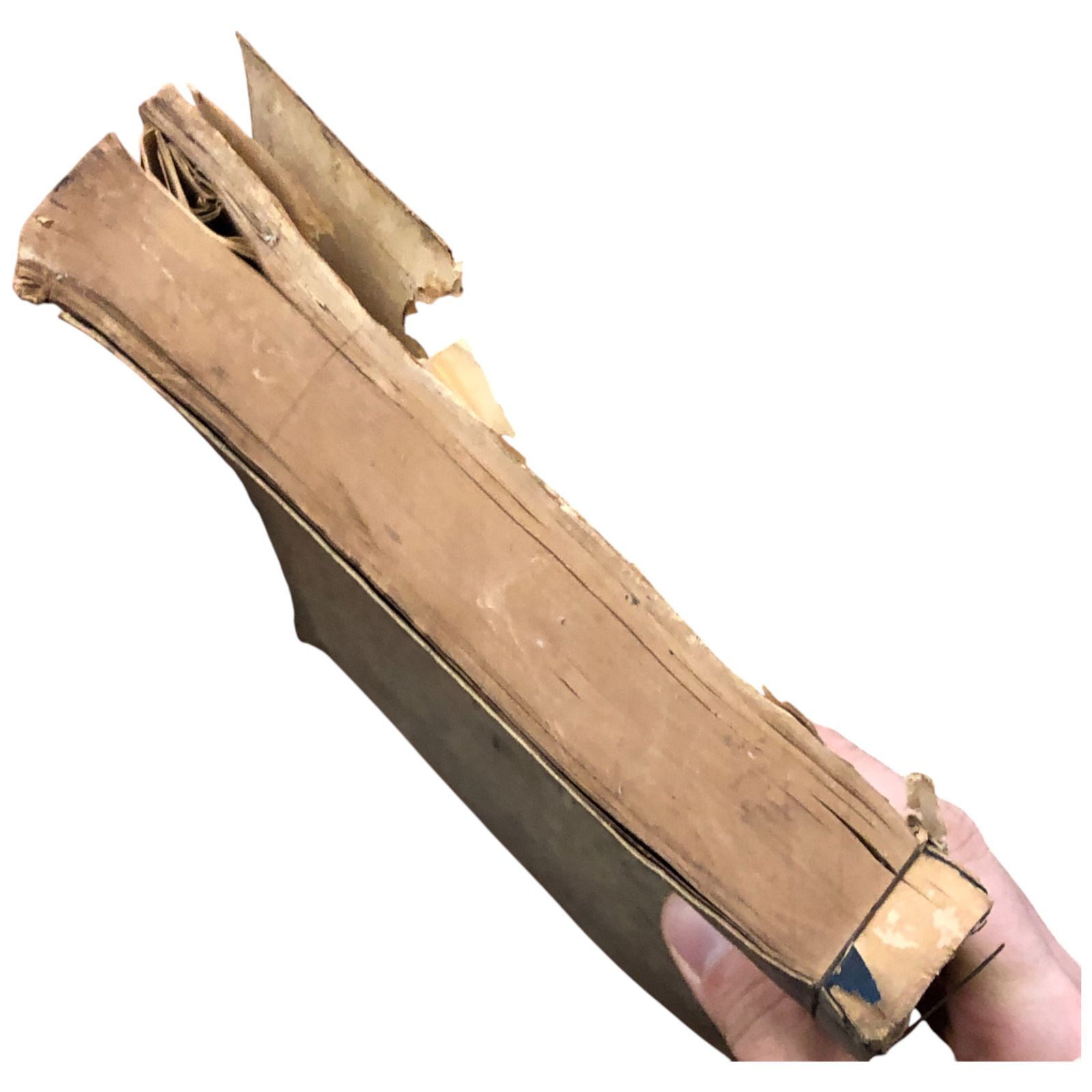 厳島神社祭儀課