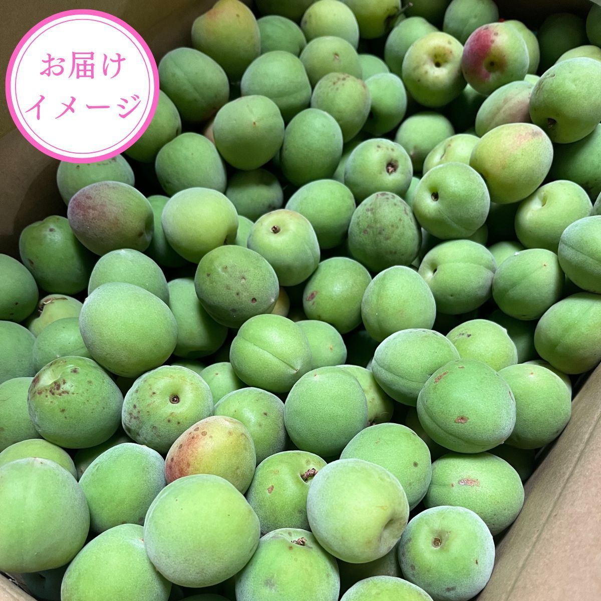 【訳あり 南高梅10kg】徳島産◎梅干し・梅酒の仕込みに♪ 徳島県産 南高梅 10kg 訳あり 梅酒・梅干しに最適 - メルカリ