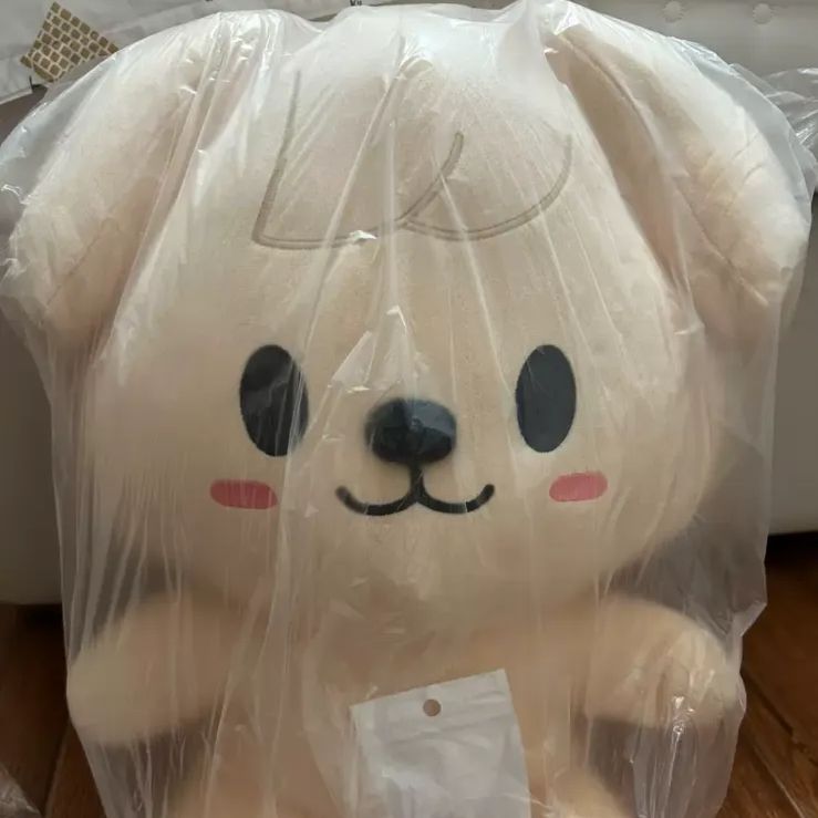straykids SKZ TOY WORLD スンミン ぬいぐるみ stray kids スンミン ぬいぐるみ 20cm 新品 マスター - メルカリ