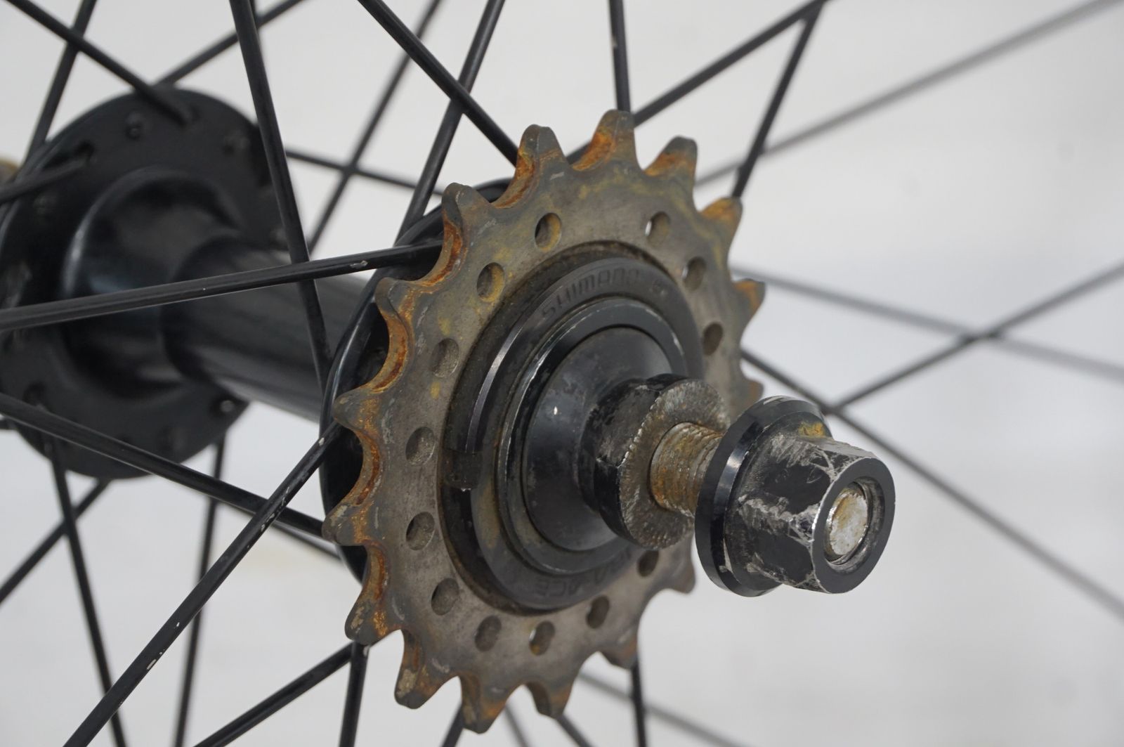 grancompe × h plus son ホイールセット 32H H Plus Son - Track wheelset - Gran compe hub , ON SALE NOW!