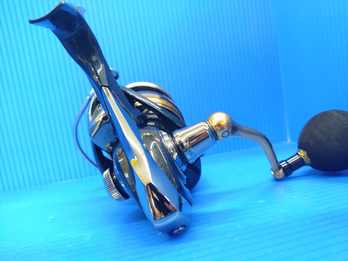 スピニング 海上釣堀