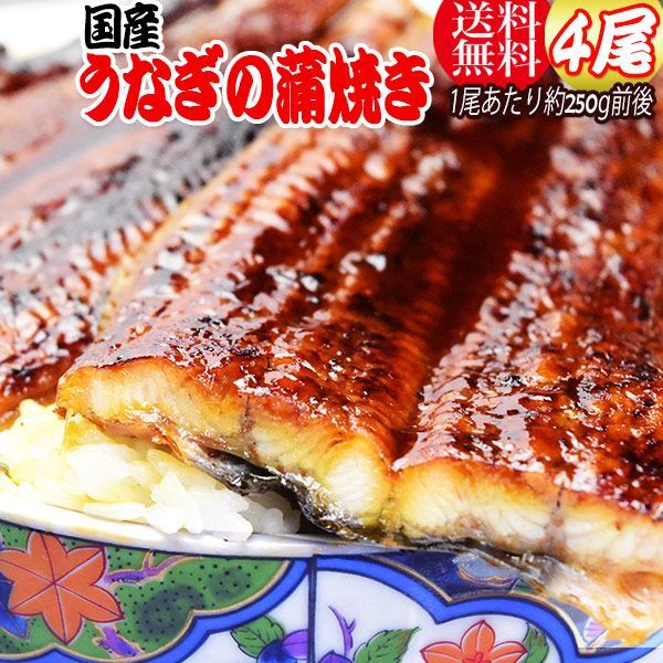 うなぎ蒲焼き約250g前後×4尾 うなぎ 蒲焼き【国産 国内産】炭火焼うなぎ蒲焼 特大 土用の丑の日 宮崎県産・鹿児島県産 ※蒲焼のタレ付