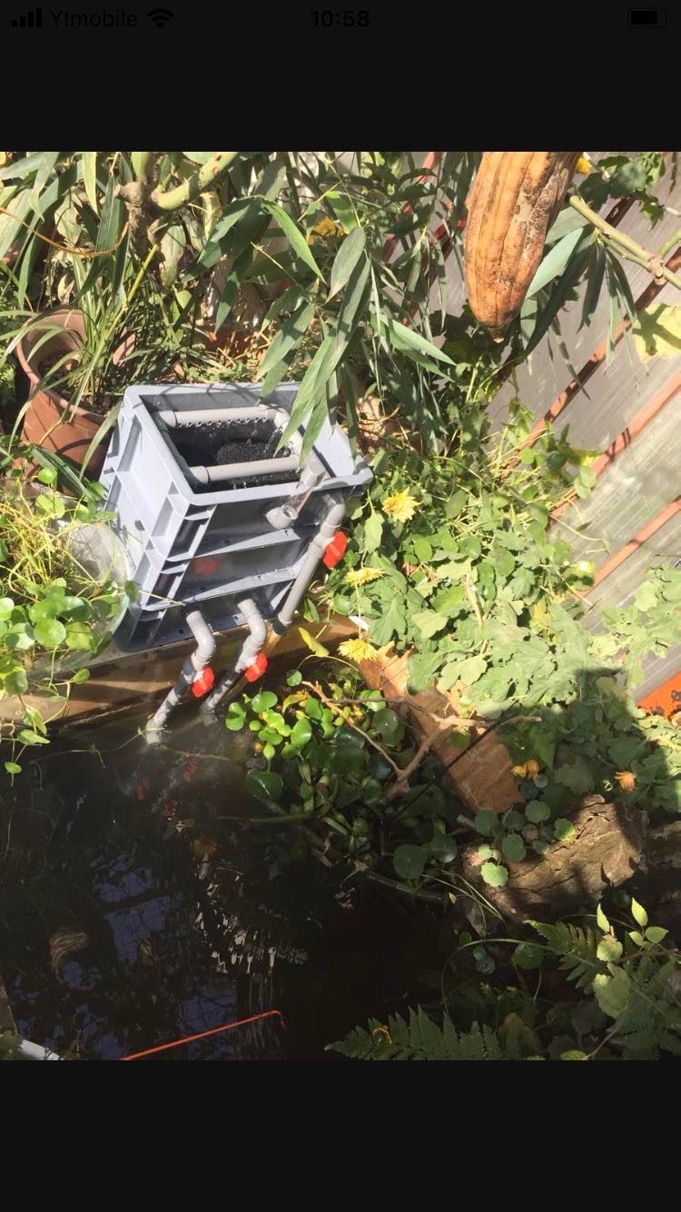 外部式飼育濾過装置