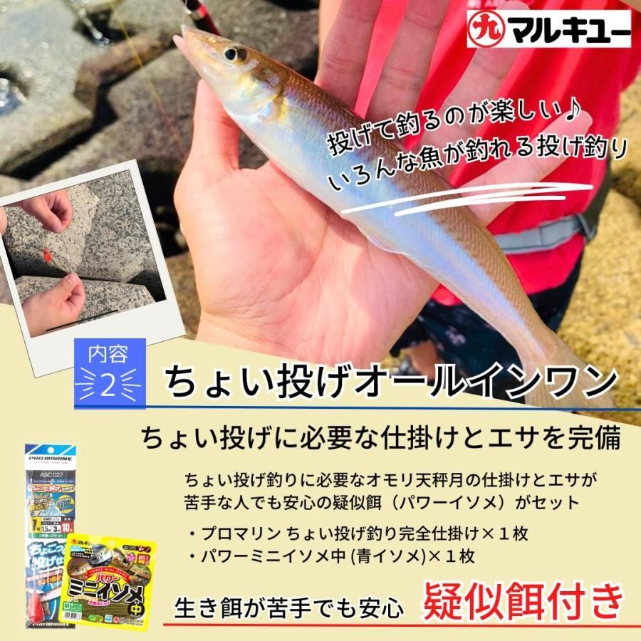 パワーイソメ 他