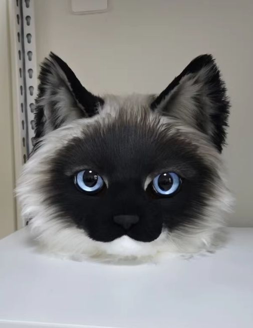 着ぐるみヘッド 猫 NO.249 リアルスタイル 全頭ヘッド ケモノ