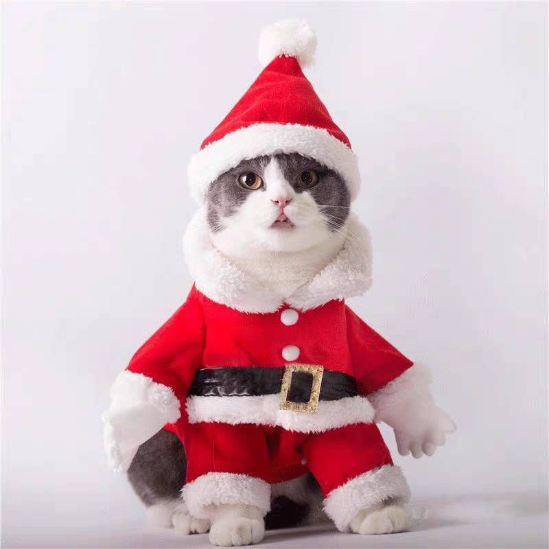 ペット サンタ クリスマス ドッグウェア ペット服 M 犬 猫 サンタ