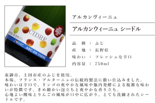 飲料・酒 日本ワイン セット【長野の林檎シードル売れ筋3本セット