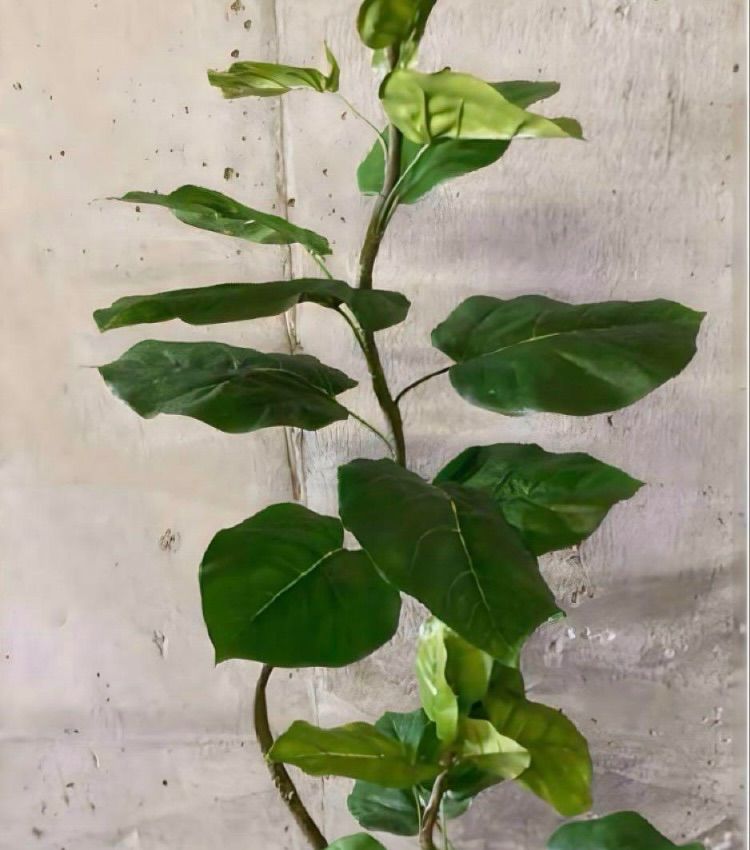 人工観葉植物