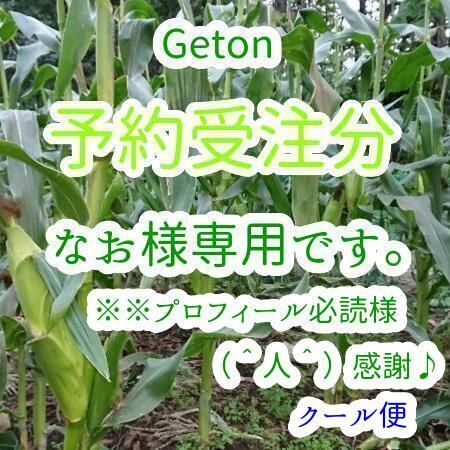 6本☆クール便☆北海道高級とうもろこし黄、白☆激甘！糖度19度！おお