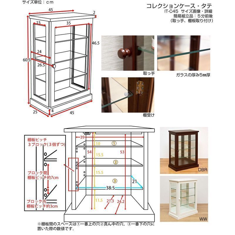 すぐ使えるクーポン発行中！】【背面ミラー仕様】コレクションケース