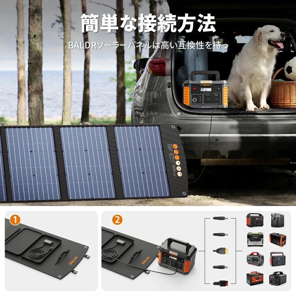 BALDR PIONEER 200W ソーラーパネル 太陽光パネル 最新型ETFE BALDR PIONEER 200W ソーラーパネル 太陽光パネル 最新型ETFE