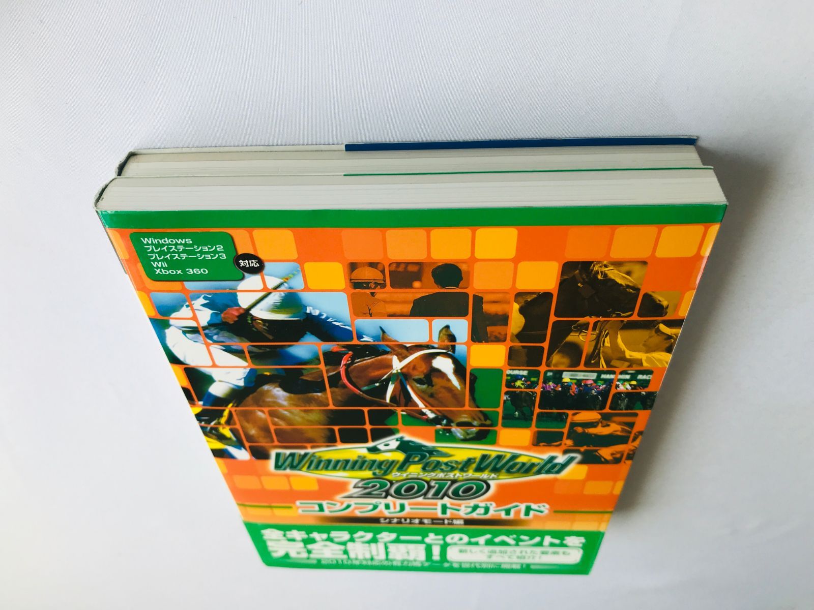 ウイニングポストワールド 2010 コンプリートガイド シナリオ