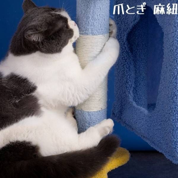 爪とぎポール 多頭飼い