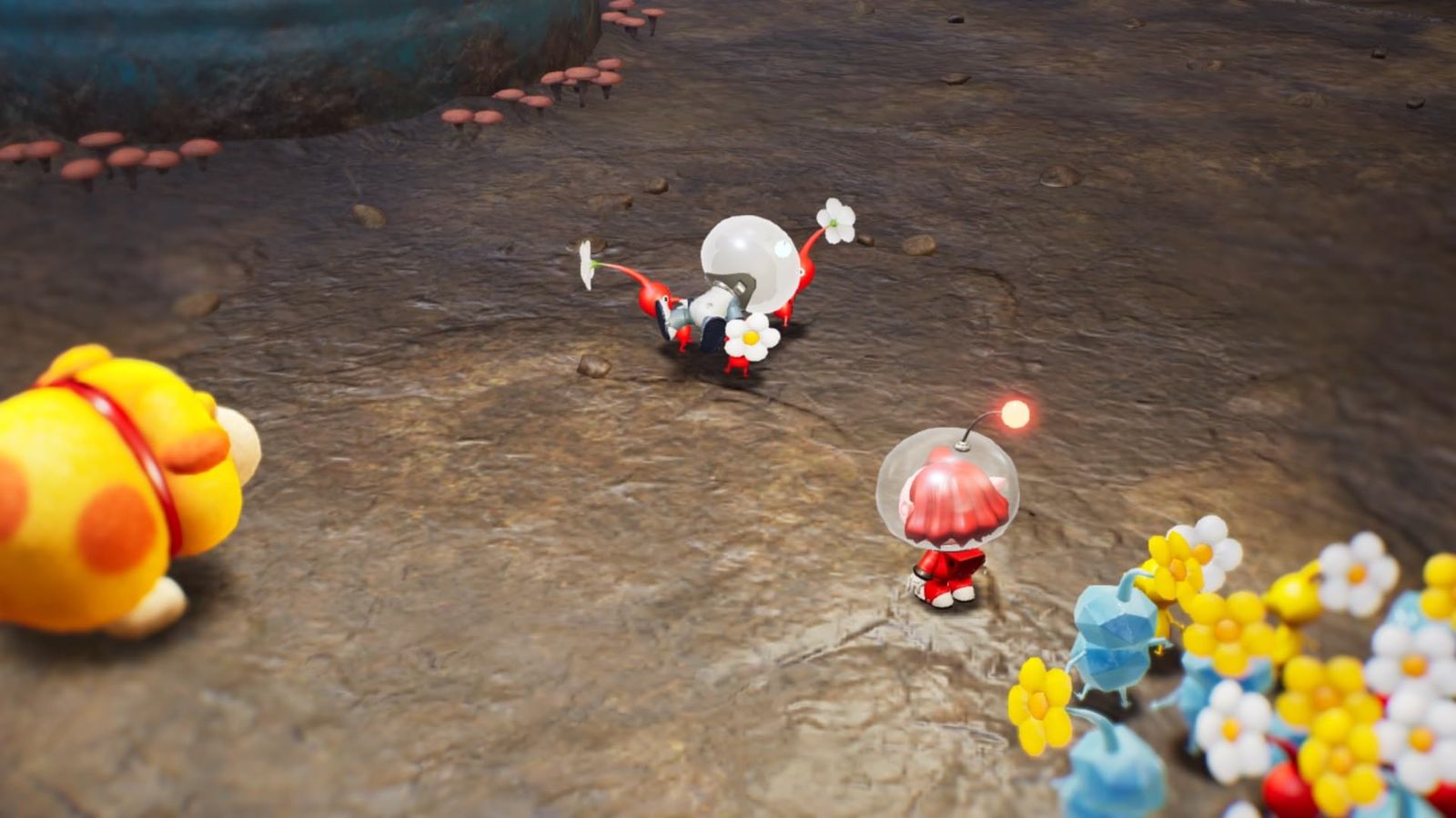 Pikmin 4(ピクミン 4) -Switch - メルカリ
