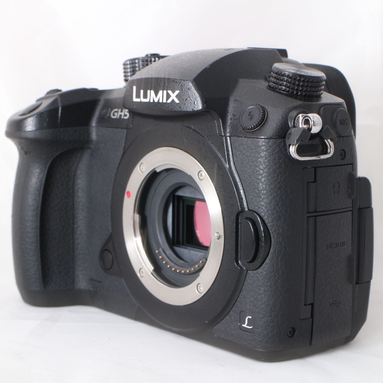 ■完動品 美品　Panasonic LUMIX GH5 ボディ　ショット数59回 □完動品 美品 Panasonic LUMIX GH5 ボディ ショット数59回