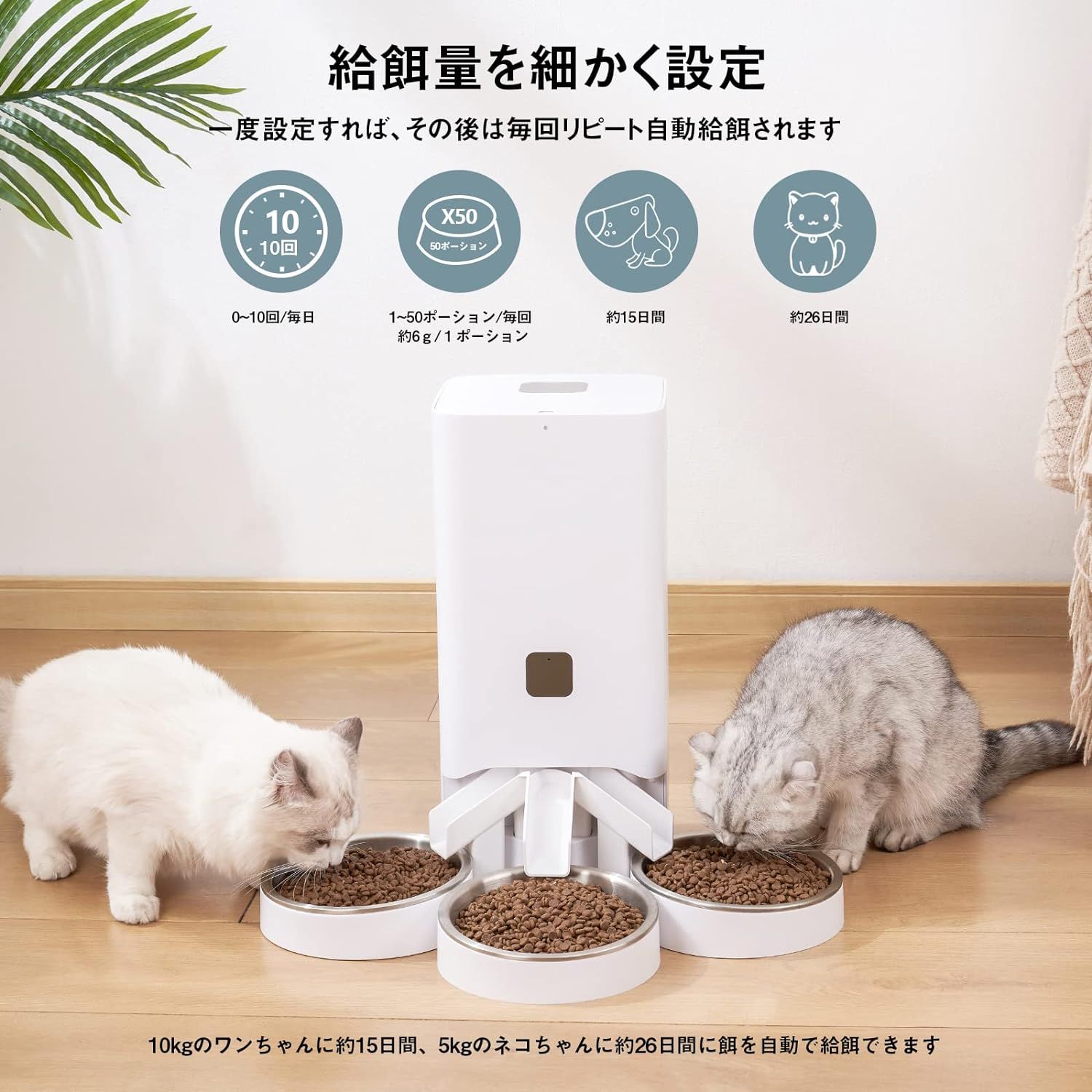 自動給餌器 猫