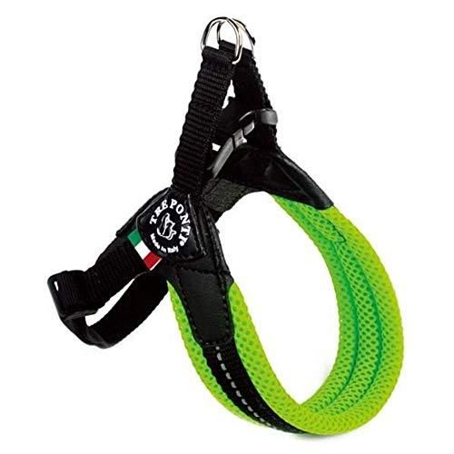 定価¥11,160】iCANDOR 豹柄 カラーリード セット 名入れOK】ヒョウ柄犬