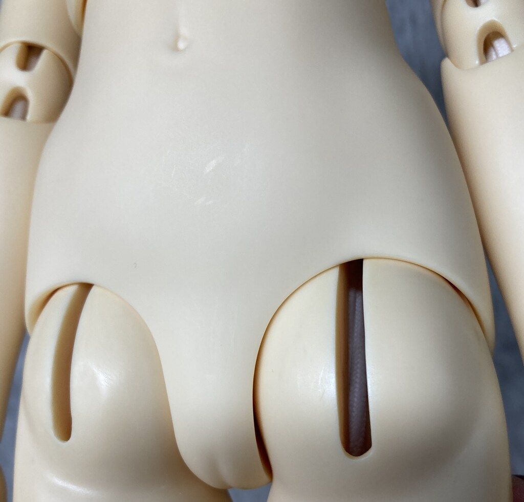 ボディのみ 二重肘関節