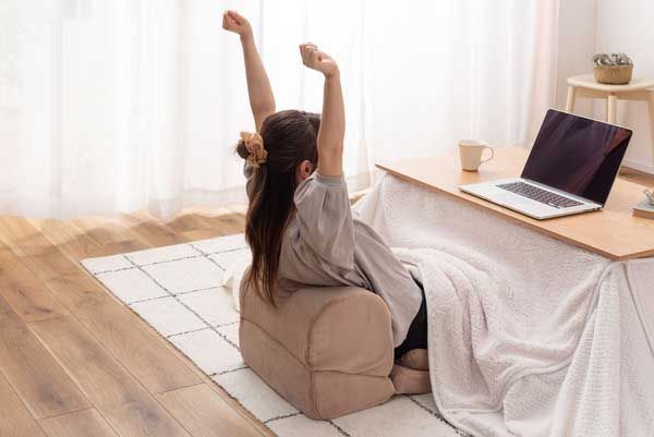 サンゴマイヤーの2wayテレビ枕マット 座布団付き W40×D48-96×H27-31×SH5 14cm No.120 ベージュ NEXPOTALLINN_EU