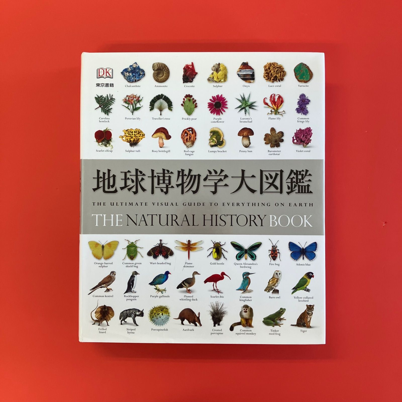地球博物学大図鑑 10rm_c1_20 - メルカリ