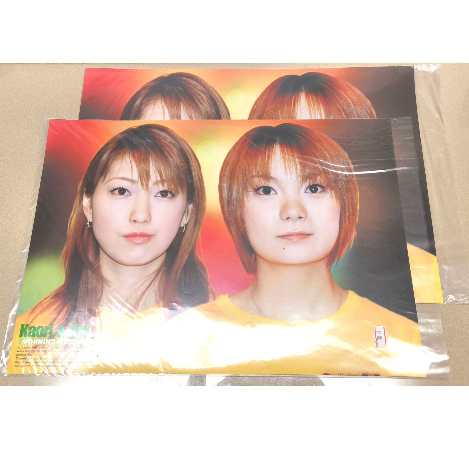 モーニング娘・ポスターまとめ売り・14種・24枚・平成アイドル